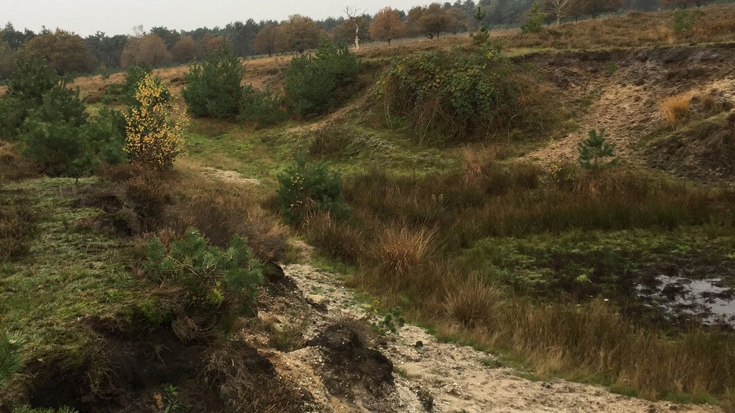 waterontrekking en stikstofneerslag De Maashorst